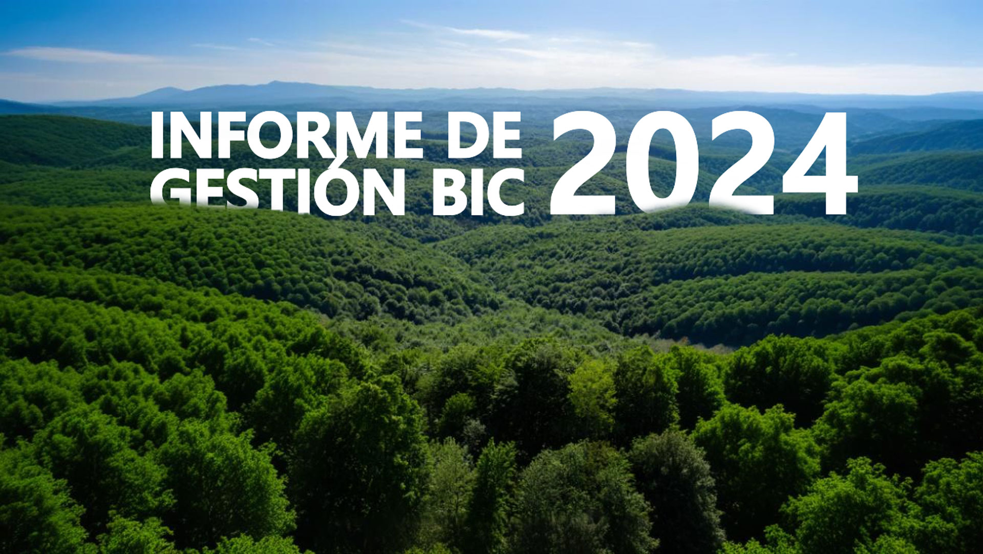 Manos alzadas hacia el cielo