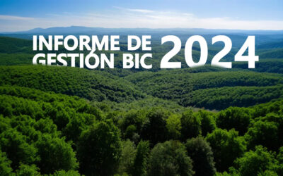 Informe de Gestión BIC – ARCO Consultores