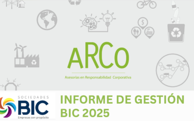 Informe de Gestión BIC – ARCO Consultores